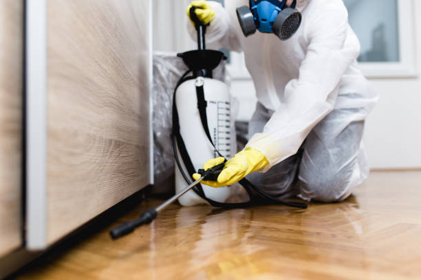 Best Pest Control for Homes  in Rumson, NJ