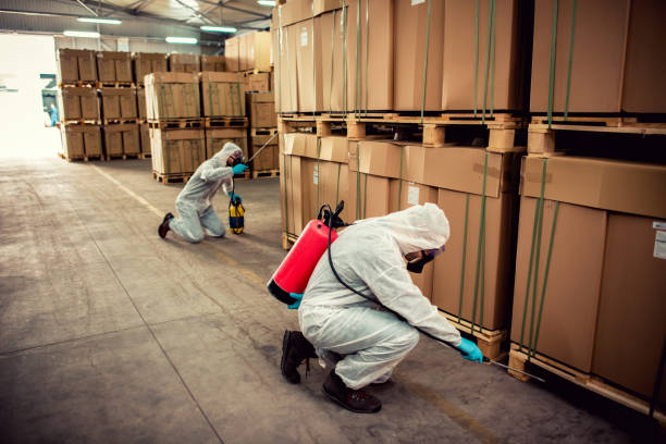 Best Wasp Removal Services  in Rumson, NJ