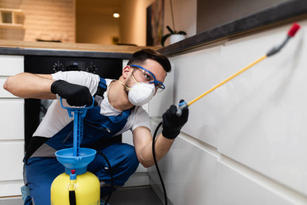 Reliable Rumson, NJ Pest Control Solutions