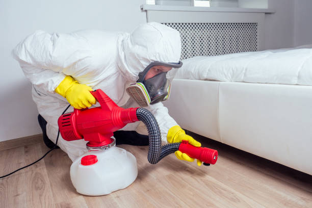 Best Emergency Pest Control  in Rumson, NJ