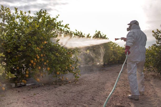 Best Best Pest Control Companies  in Rumson, NJ